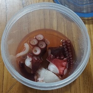 イカの生姜煮